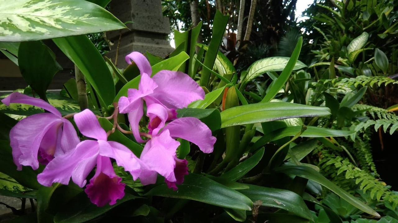 Prasanti Ubud